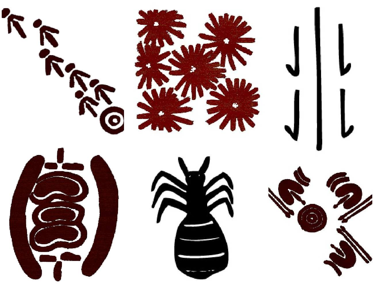 indigenous symbols