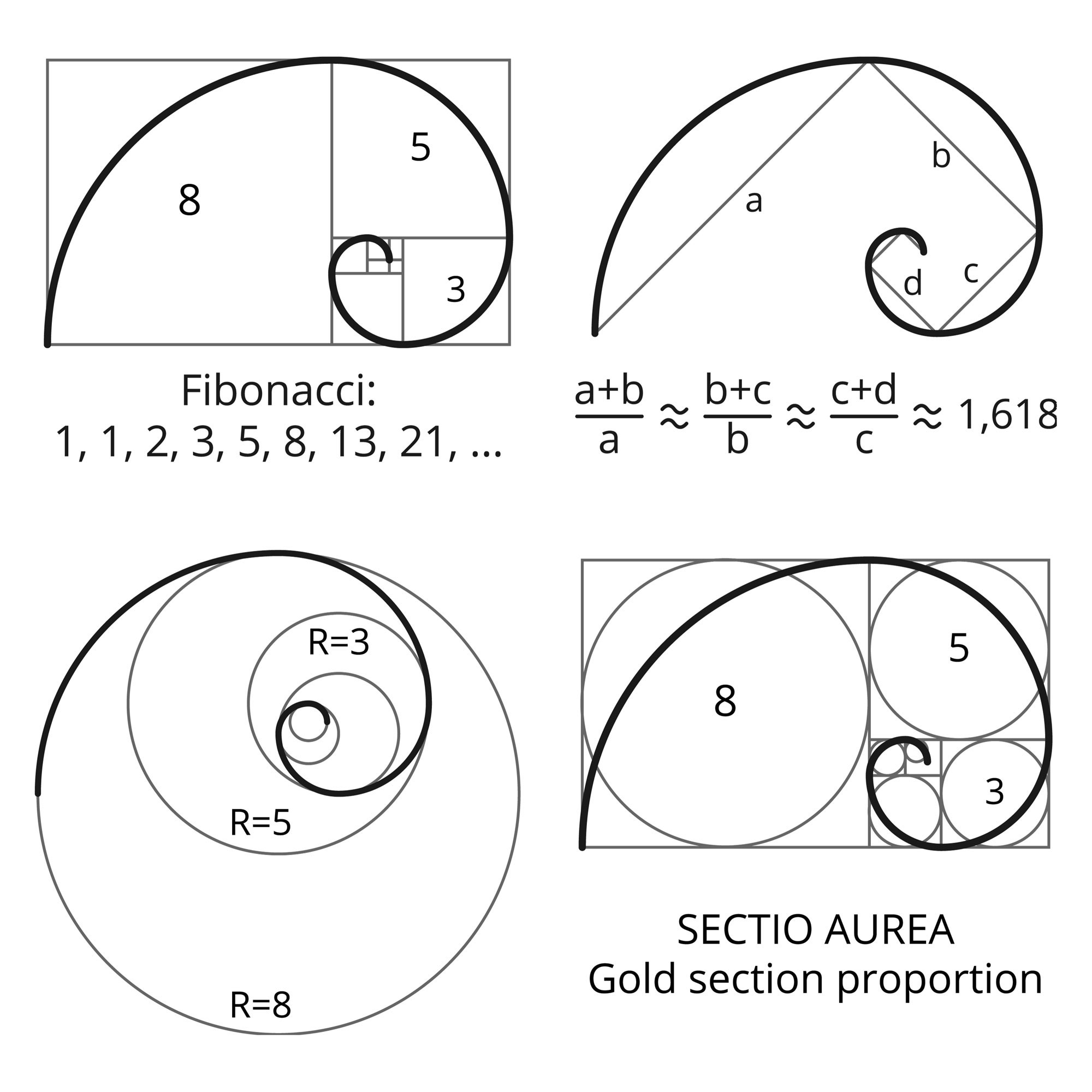 Symbol Of The Golden Ratio Tattoo Black Lines On The White Isolated  Background Royalty Free SVG Cliparts Vectors And Stock Illustration  Image 51427214