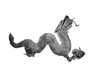 Asian Dragons
