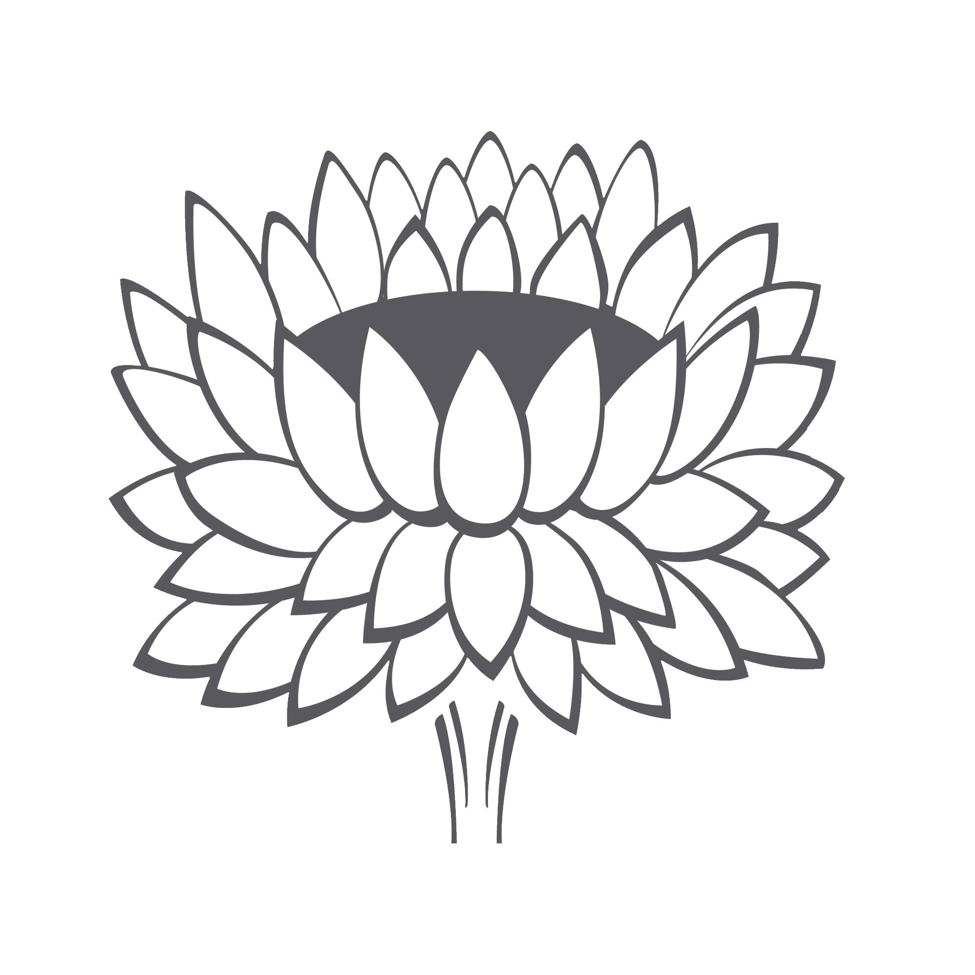 lotus flowers