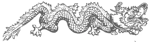 Vietnamese Dragons